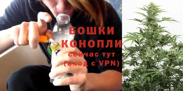 твердый Белокуриха