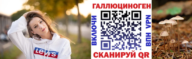 дарнет шоп  Облучье  Псилоцибиновые грибы GOLDEN TEACHER 